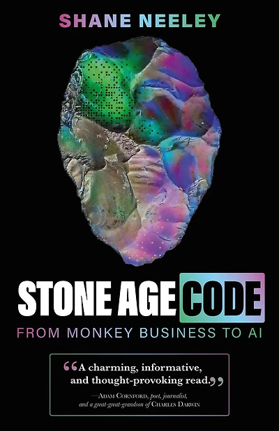 Stone Age Code