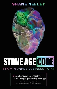 Stone Age Code