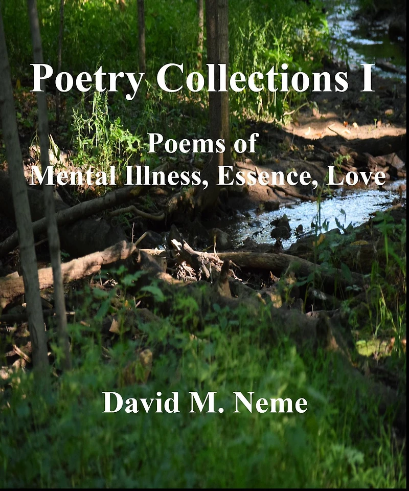 Poetry Collections I Poems of Mental Illness, Essence, Love