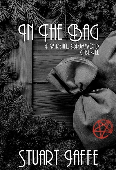 In the Bag (Marshall Drummond Case Files, #11)