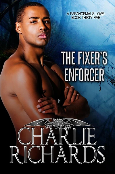 The Fixer's Enforcer