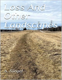 Loss And Other Landscapes