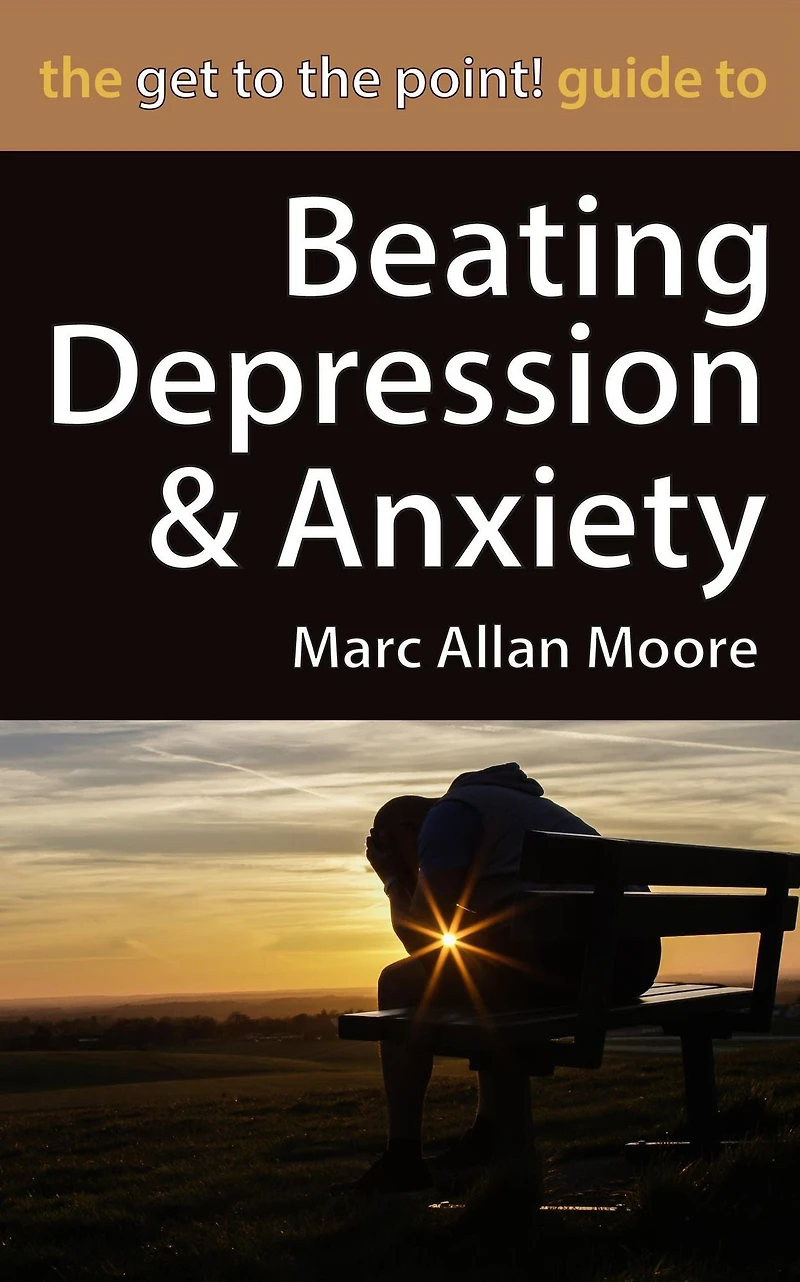 the Get to Point! Guide Beating Depression and Anxiety