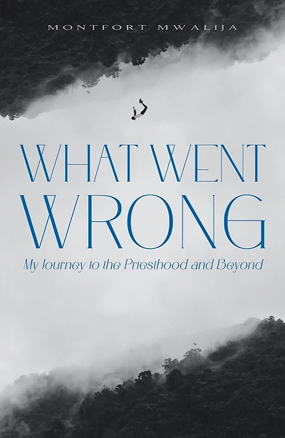 What Went Wrong: My Journey to the Priesthood and Beyond