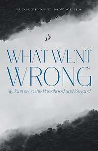 What Went Wrong: My Journey to the Priesthood and Beyond