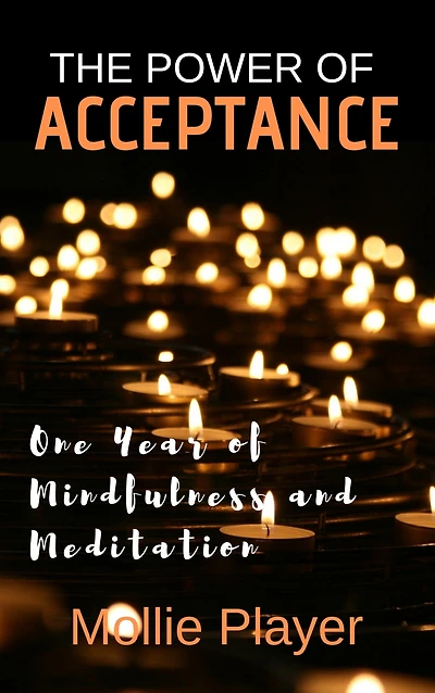 The Power Of Acceptance: One Year Mindfulness And Meditation