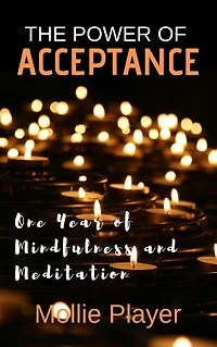 The Power Of Acceptance: One Year Mindfulness And Meditation