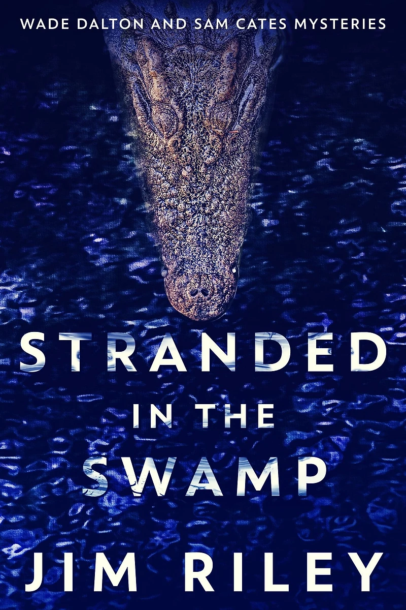 Stranded the Swamp
