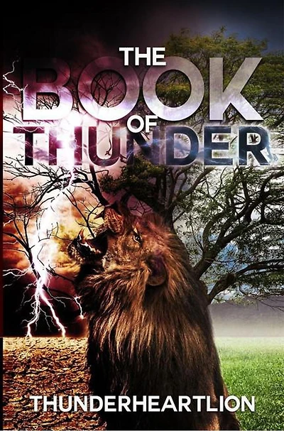 Book Of Thunder