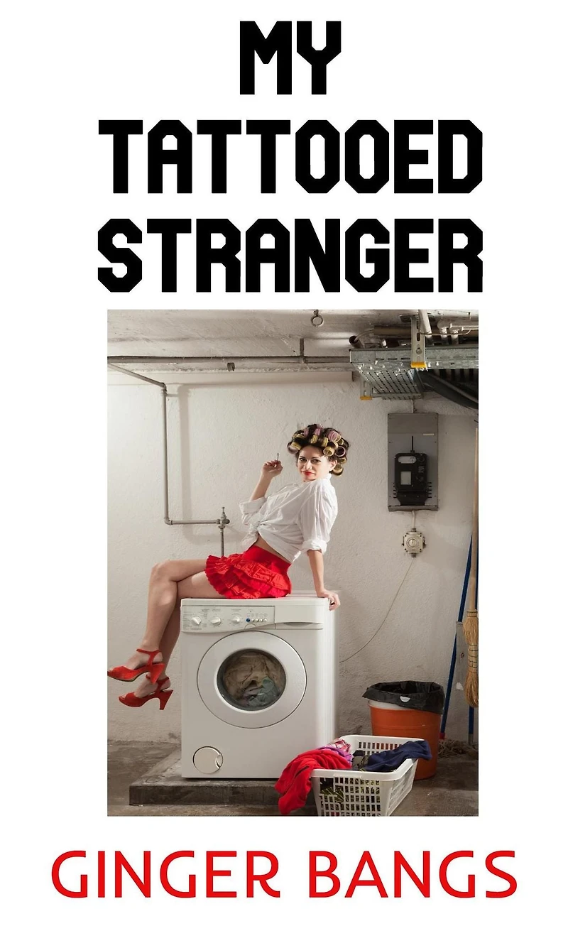 My Tattooed Stranger (Ginger's Dirty Shorts, #3)