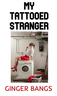 My Tattooed Stranger (Ginger's Dirty Shorts, #3)