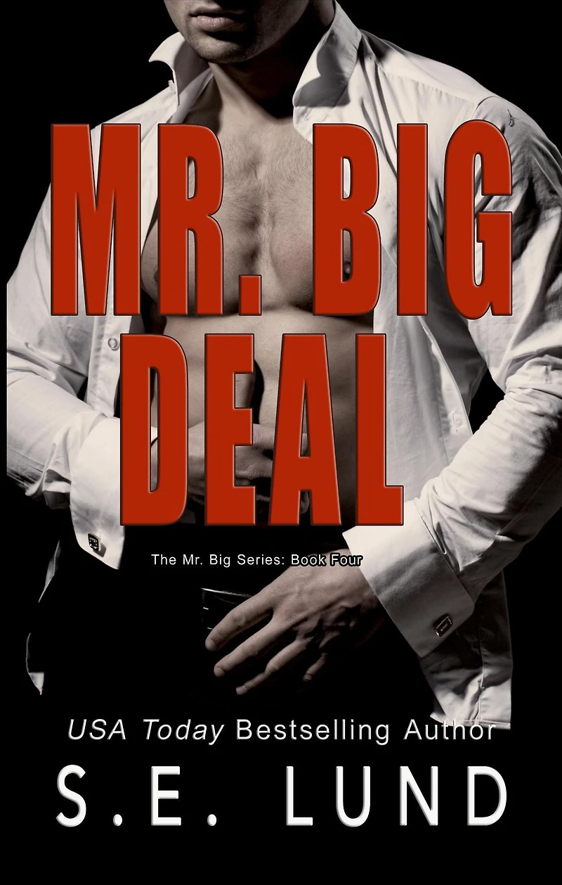 Mr. Big Deal (The Series, #4)