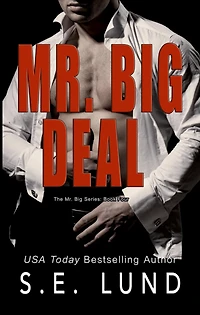 Mr. Big Deal (The Series, #4)