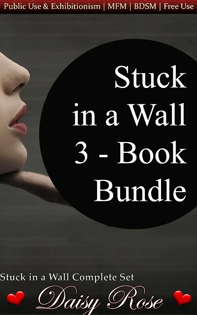 Stuck in a Wall 3 - Book Bundle