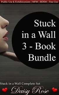 Stuck in a Wall 3 - Book Bundle