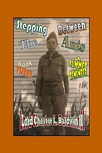 Stepping Between The Ants - Book THREE: A Summer To Remember
