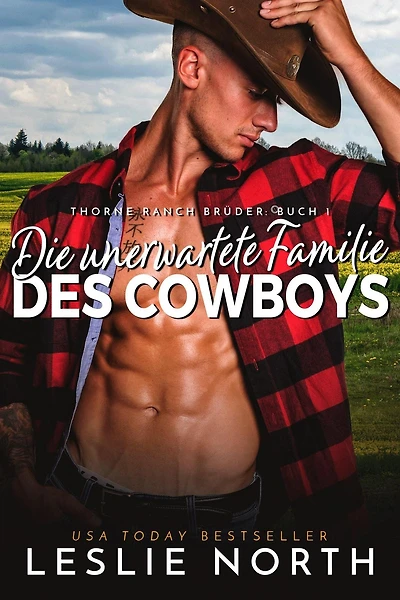 Die unerwartete Familie des Cowboys (Thorne Ranch Brüder)