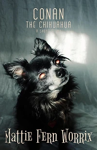 Conan The Chihuahua