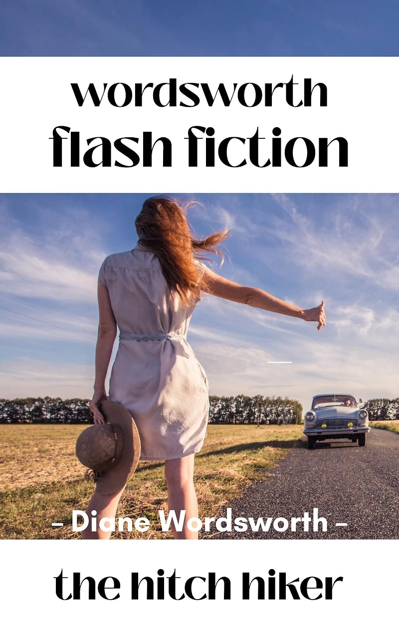 The Hitch Hiker (Flash Fiction, #7)
