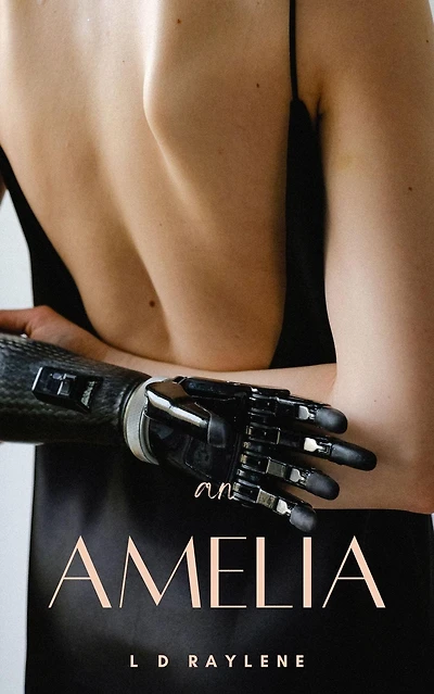 An Amelia : A Modern Twist Pride and Prejudice