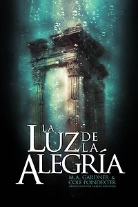 La luz de la alegría