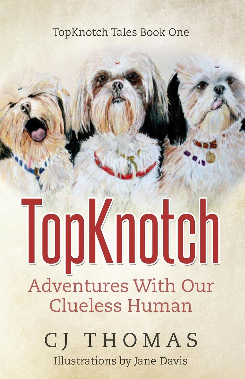 TopKnotch: Adventures with our Clueless Human