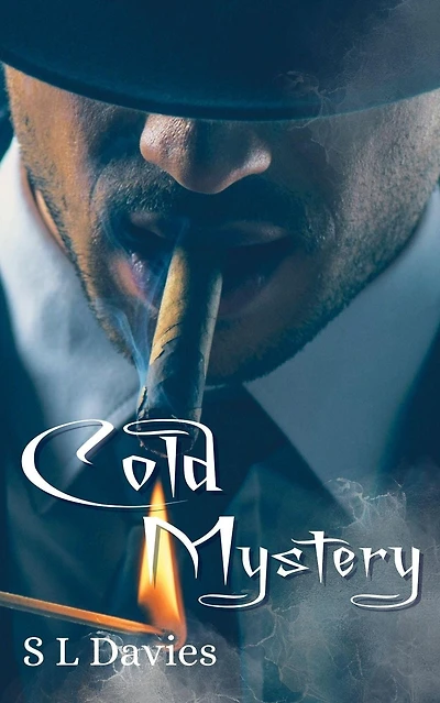 Cold Mystery (Cold Case, #2)