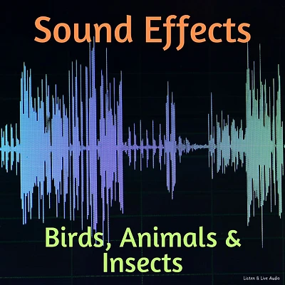 Sound Effects: Birds, Animals & Insects