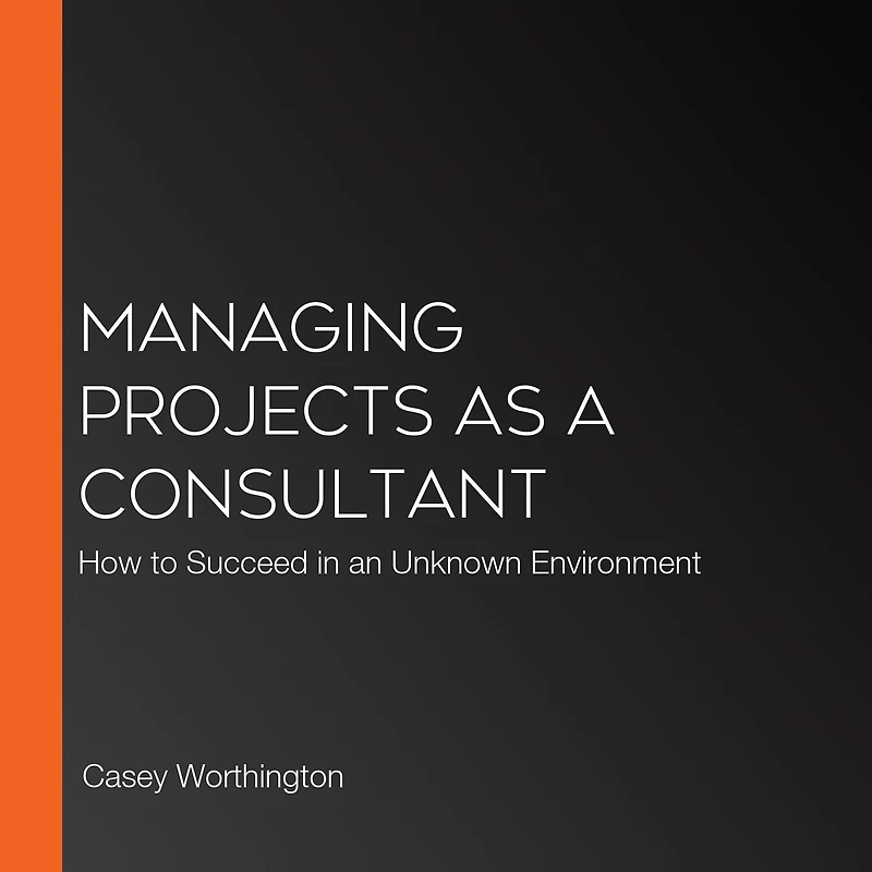 Managing Projects as a Consultant: How to Succeed in an Unknown Environment