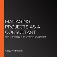 Managing Projects as a Consultant: How to Succeed in an Unknown Environment