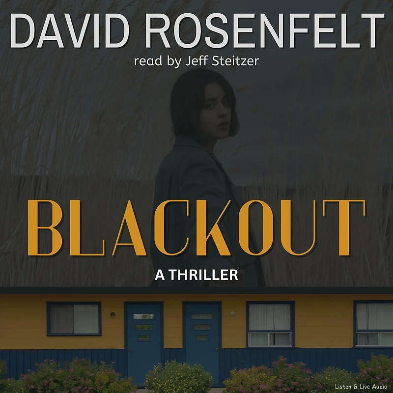 Blackout (Doug Brock Series #1)