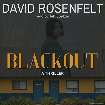 Blackout (Doug Brock Series #1)