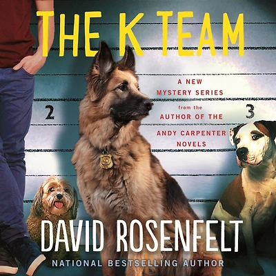 The K Team (K Series #1)