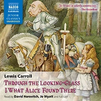 Through the Looking Glass, and What Alice Found There