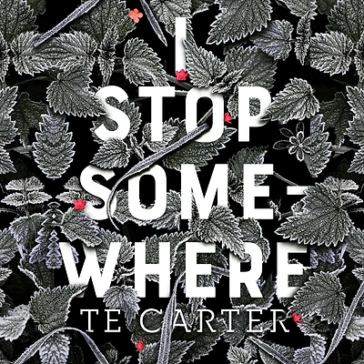 I Stop Somewhere