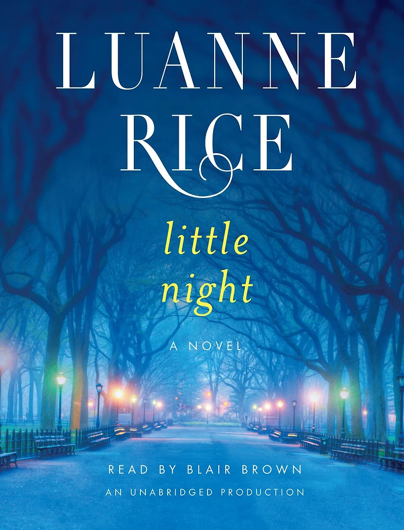 Little Night: A Novel