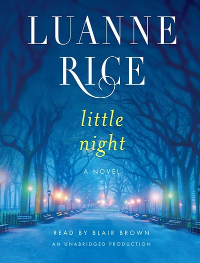 Little Night: A Novel