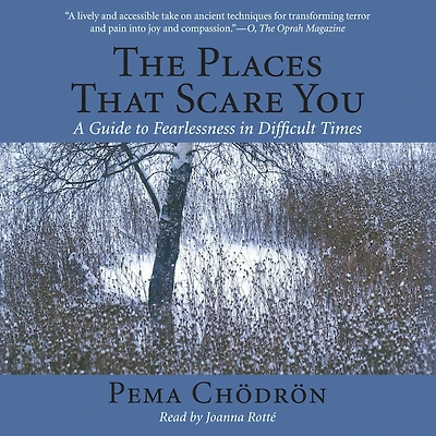 The Places That Scare You: A Guide to Fearlessness Difficult Times