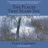 The Places That Scare You: A Guide to Fearlessness Difficult Times