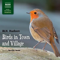 Birds Town and Village