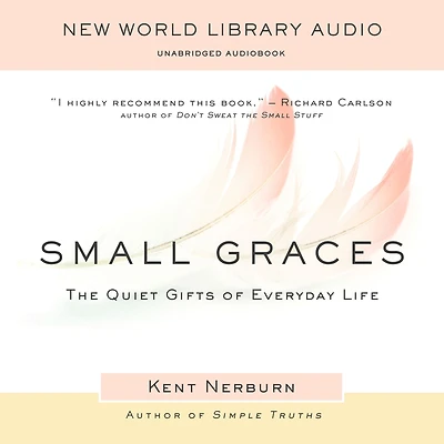 Small Graces: The Quiet Gifts of Everyday Life
