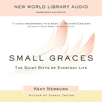 Small Graces: The Quiet Gifts of Everyday Life