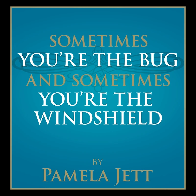 Sometimes You're the Bug and Sometimes You're the Windshield