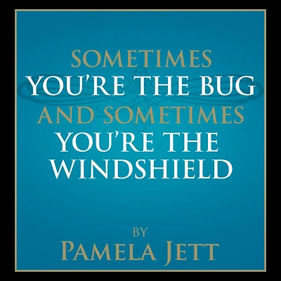 Sometimes You're the Bug and Sometimes You're the Windshield