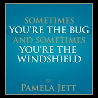 Sometimes You're the Bug and Sometimes You're the Windshield