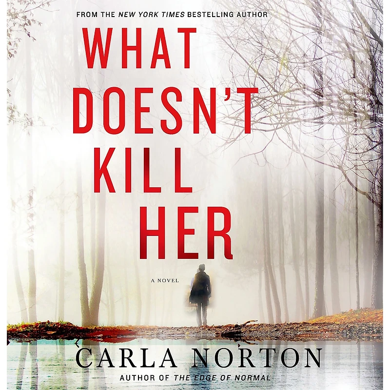 What Doesn't Kill Her: A Novel