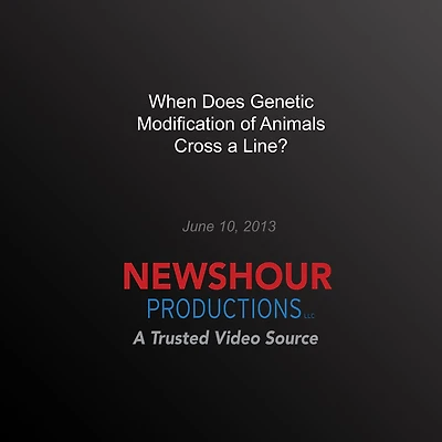 When Does Genetic Modification of Animals Cross a Line?