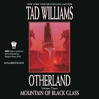 Mountain of Black Glass (Otherland Series #3)