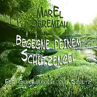 Begegne deinem Schutzengel: Für Geborgenheit und Schutz