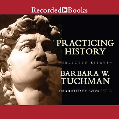 Practicing History: Selected Essays